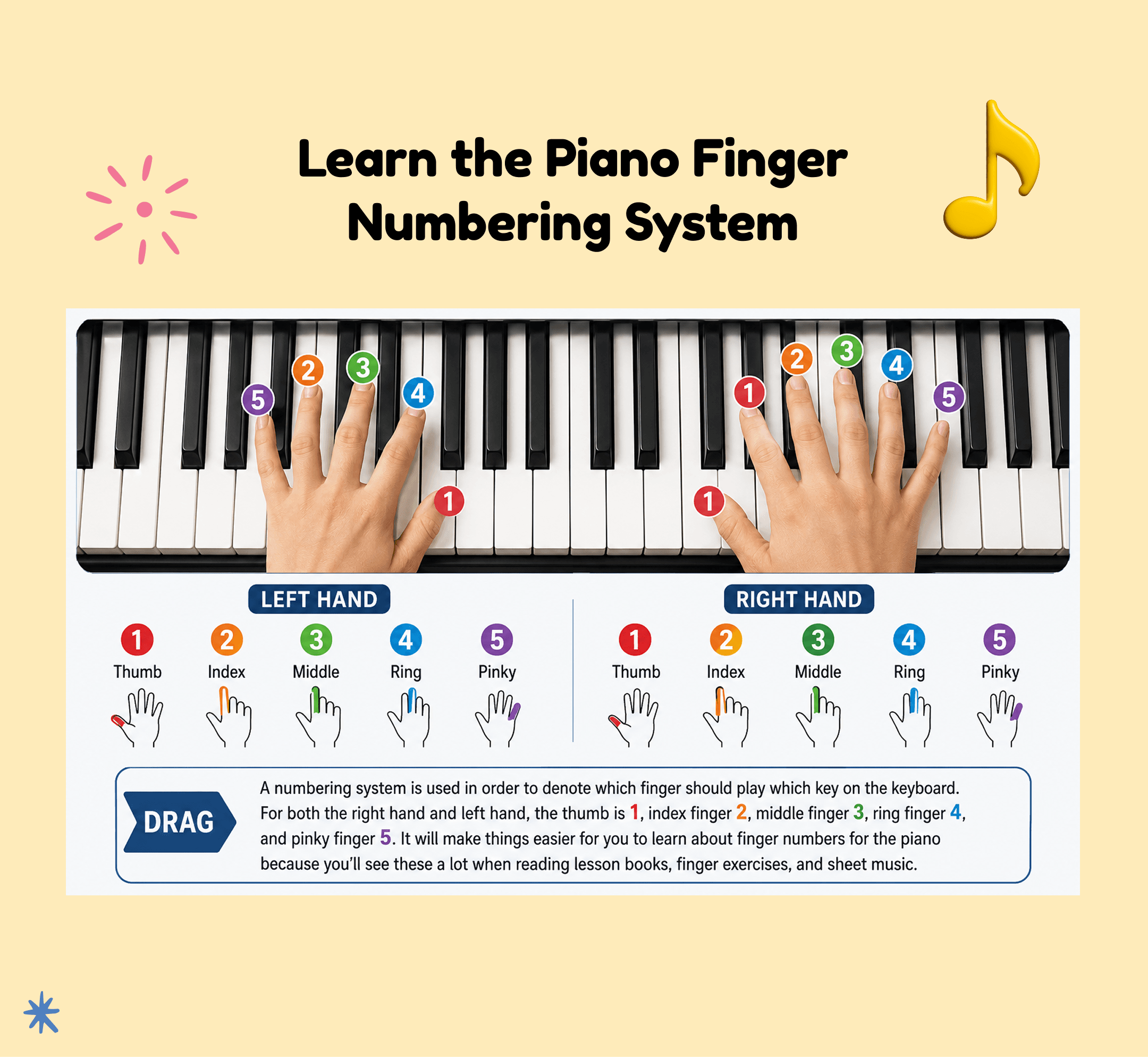 Learn Piano Keys and Finger Placement - Beginner Guide
